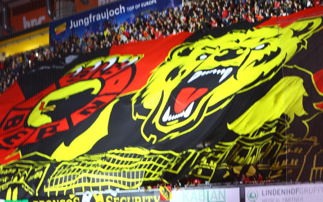 Die grosse Playoff-Prognose von eishockey-online.ch
