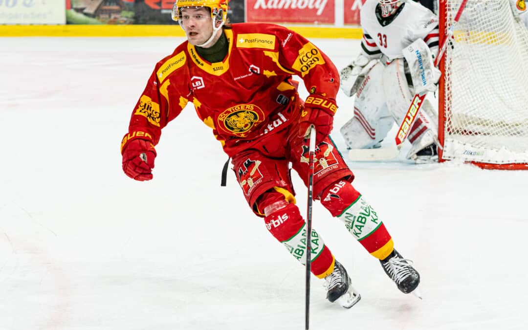 Die Tigers schnuppern weiter an der Sensation